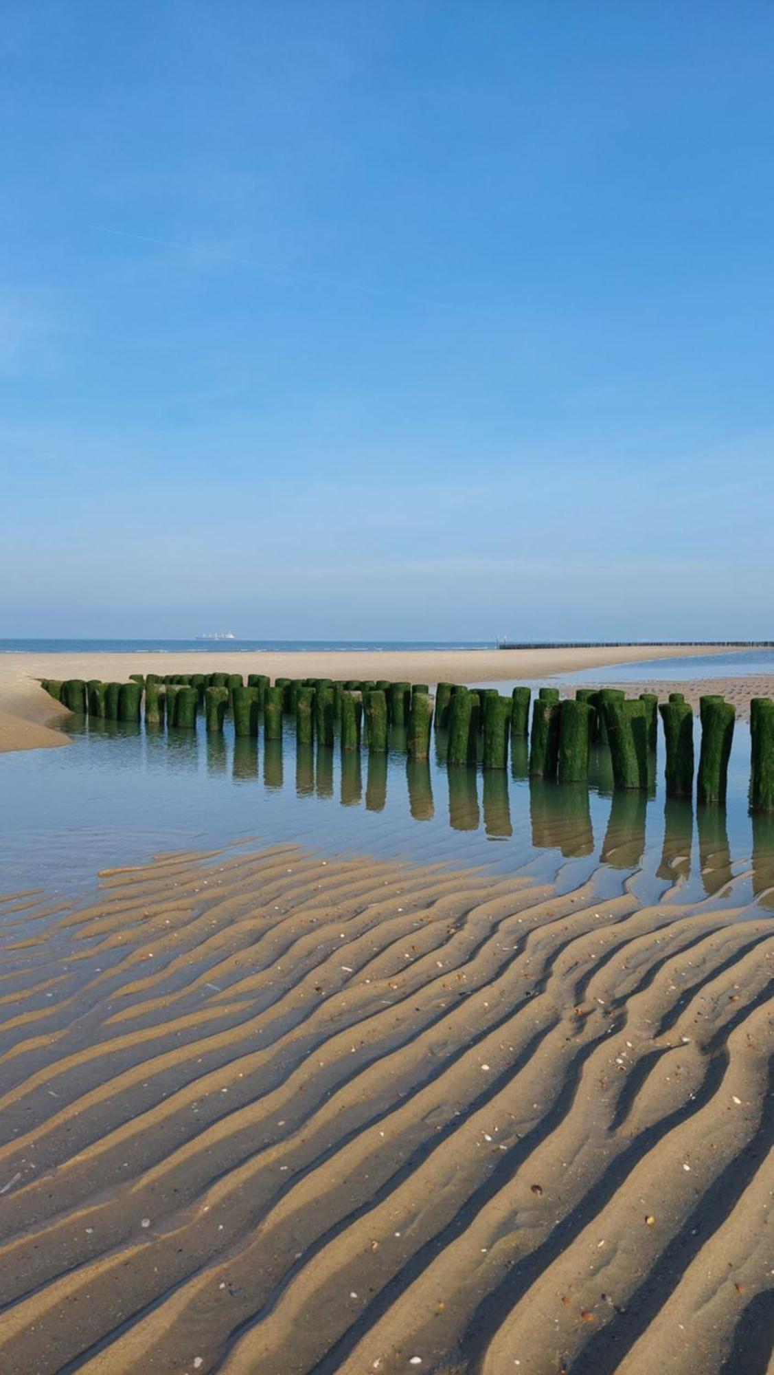 Apartamento Zeearend Cadzand Exterior foto